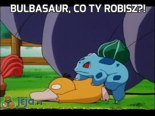 Bulbasaur, co ty robisz?!