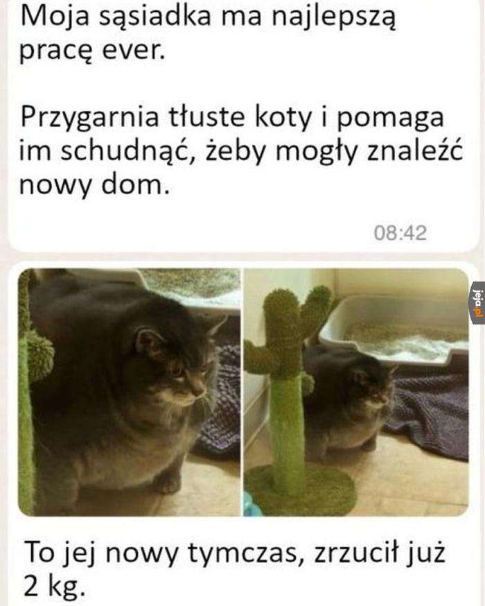 Dobra robota