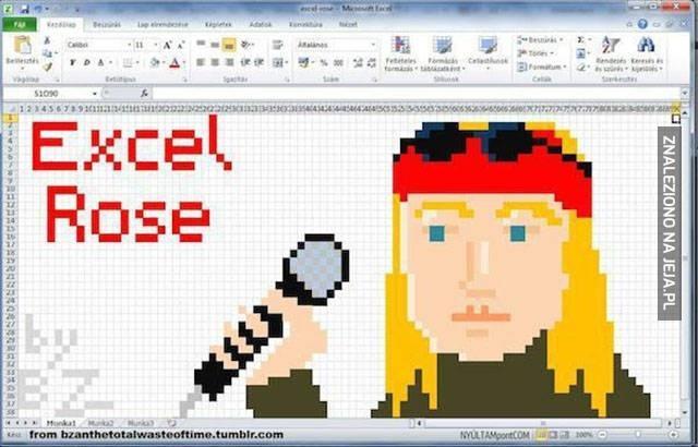 Excel Rose