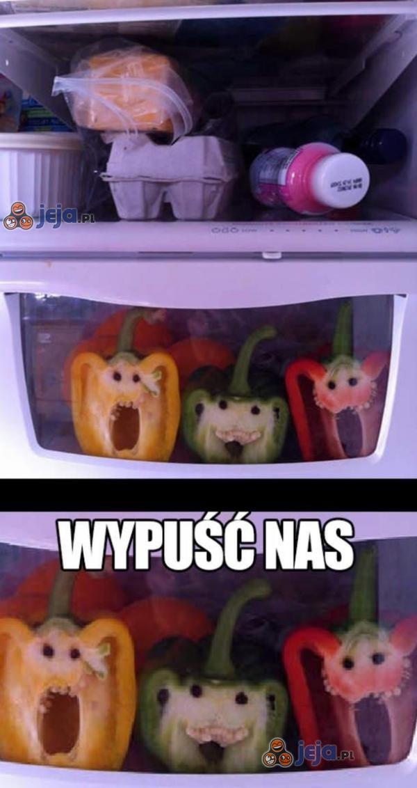 Wypuść nas!