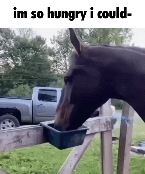 Mogłabym zjeść konia z kopytami