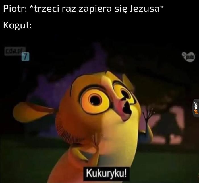 Mort kogut