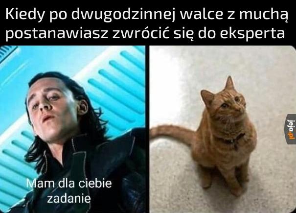 Już niedługo