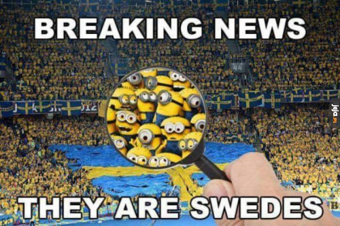 Szwedzi w przybliżeniu
