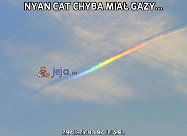 Nyan Cat chyba miał gazy...