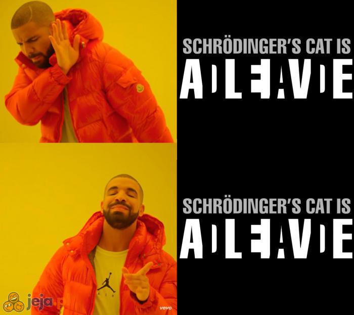 Kot Schrödingera