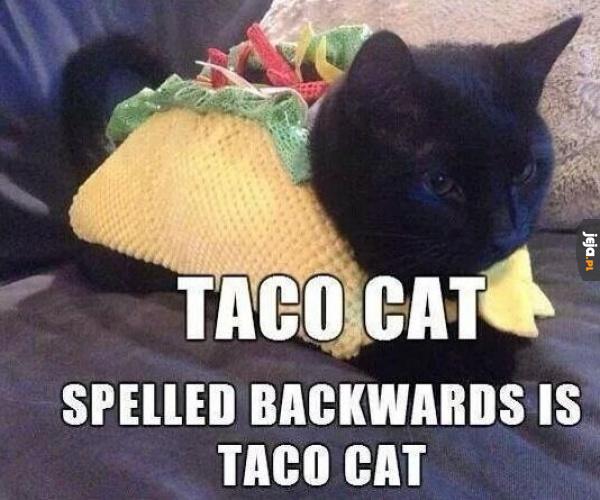 Taco cat