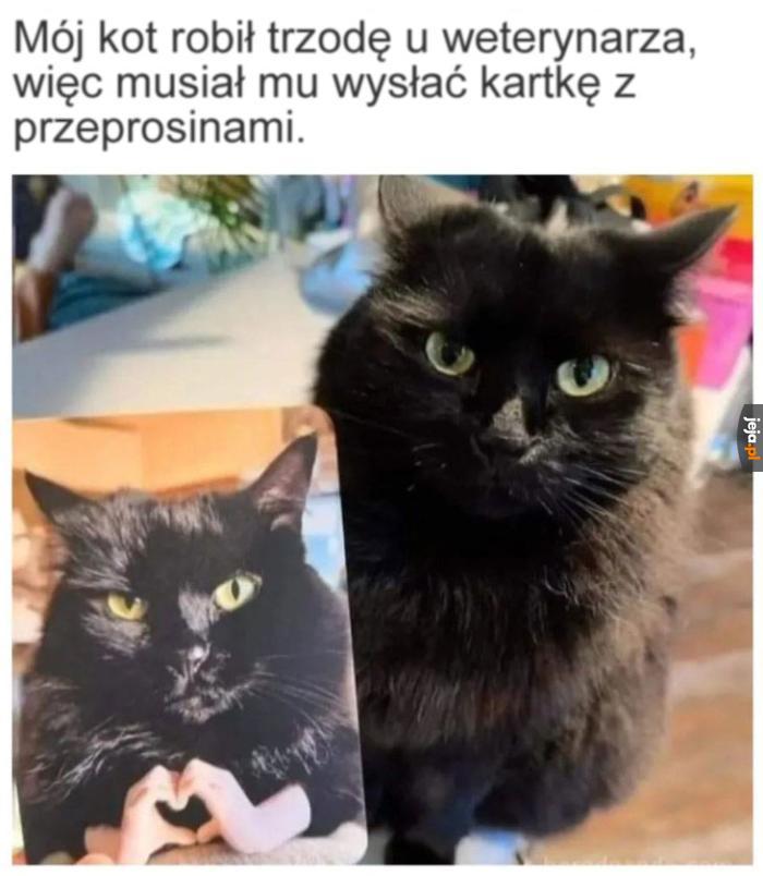Sorka, co złego to nie ja