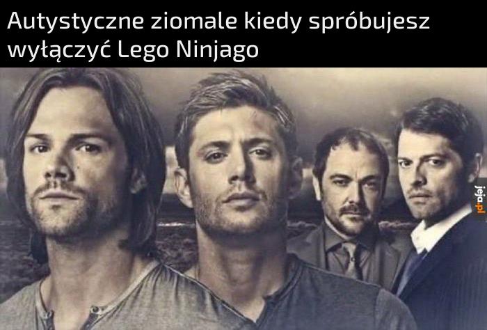 Lebiega