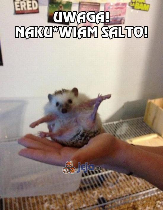 Uwaga!