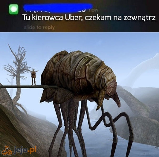 No to jedziemy