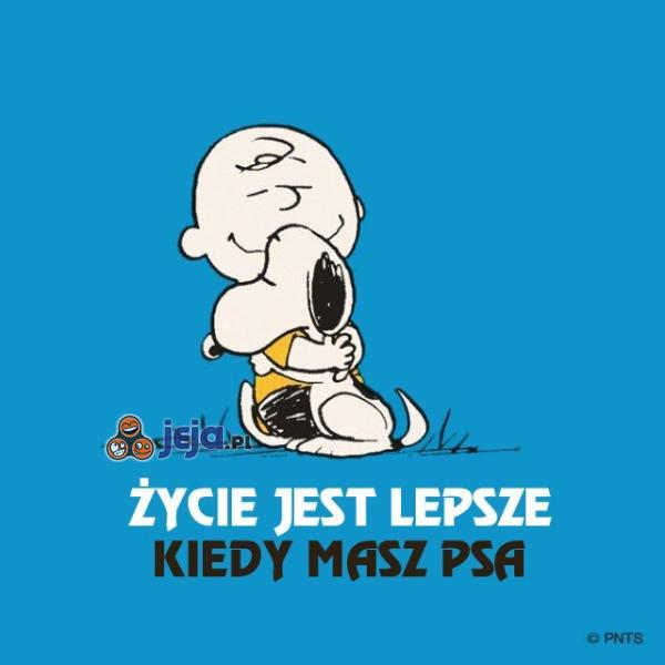 Pies zmienia wiele