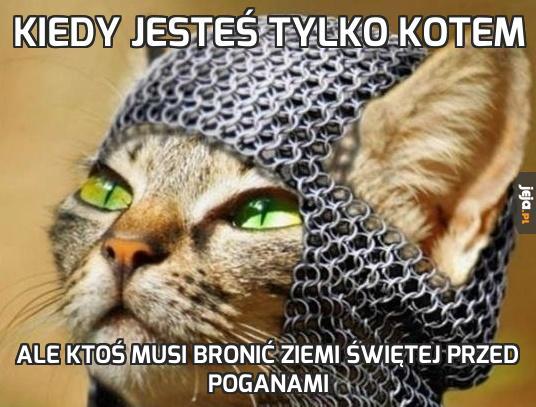 Kiedy jesteś tylko kotem