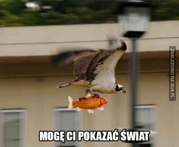 Mogę ci pokazać świat