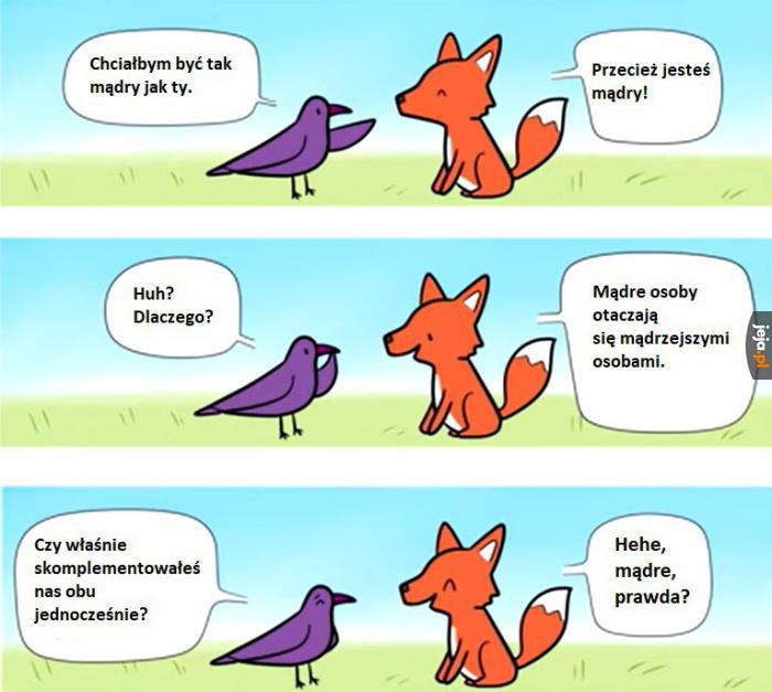 Całkiem mądre