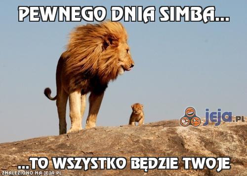 Pewnego dnia Simba...