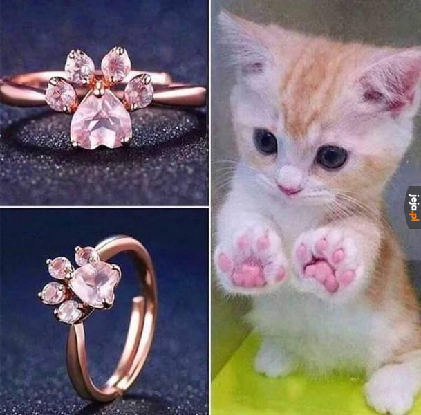 Dosyć przerabiania kotów na pierścionki
