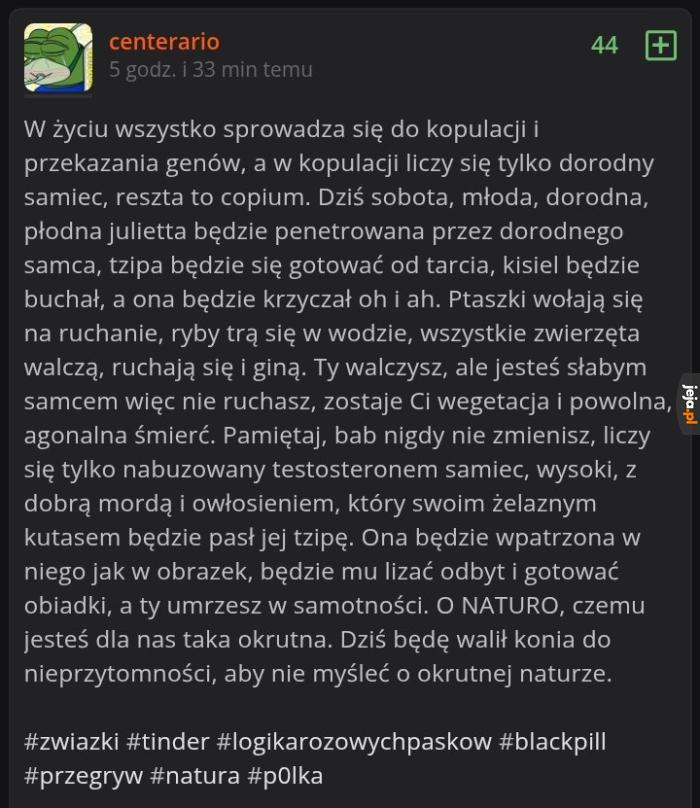 Na ogół nie wierzę w blackpill, ale ten gościu brzmi mega rozsądnie