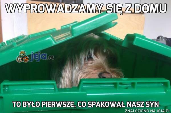 Wyprowadzamy się z domu