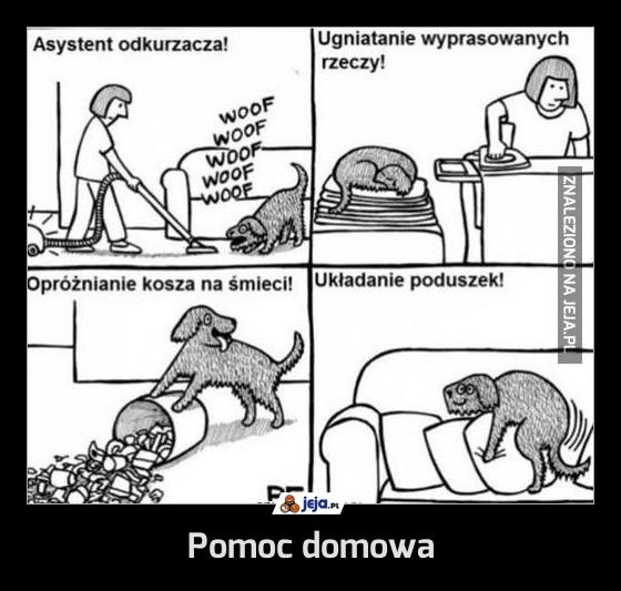 Pomoc domowa