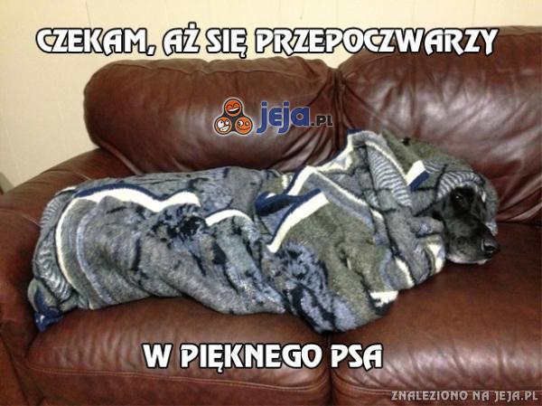 Czekam, aż się przepoczwarzy