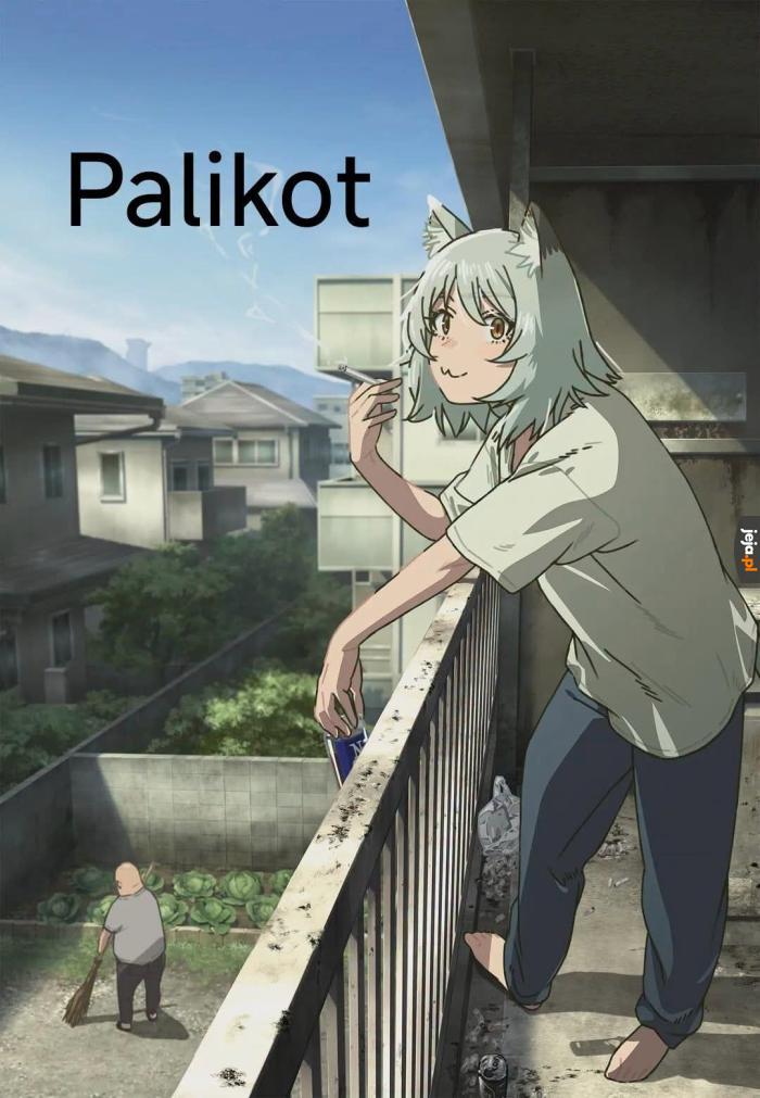 To ten polityk?
