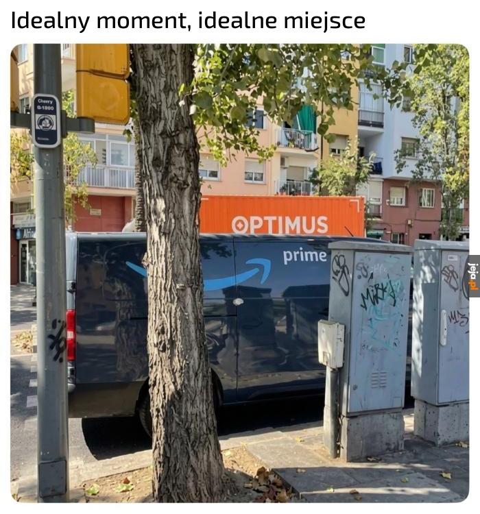 Perfekcja