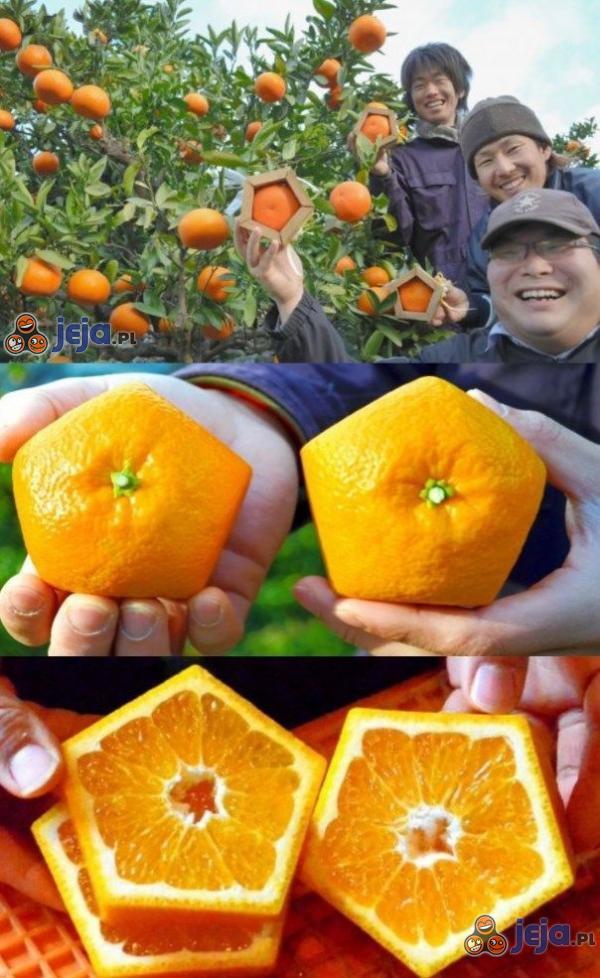 Kto powiedział, że pomarańcze muszą być okrągłe?