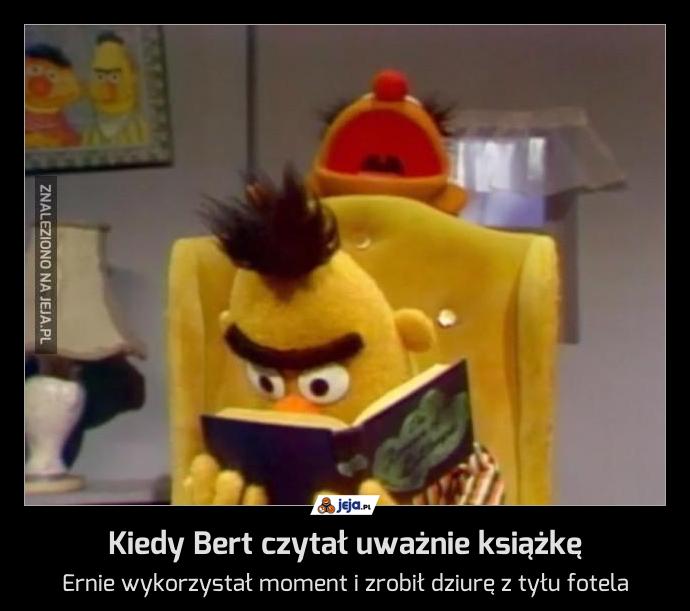 Kiedy Bert czytał uważnie książkę