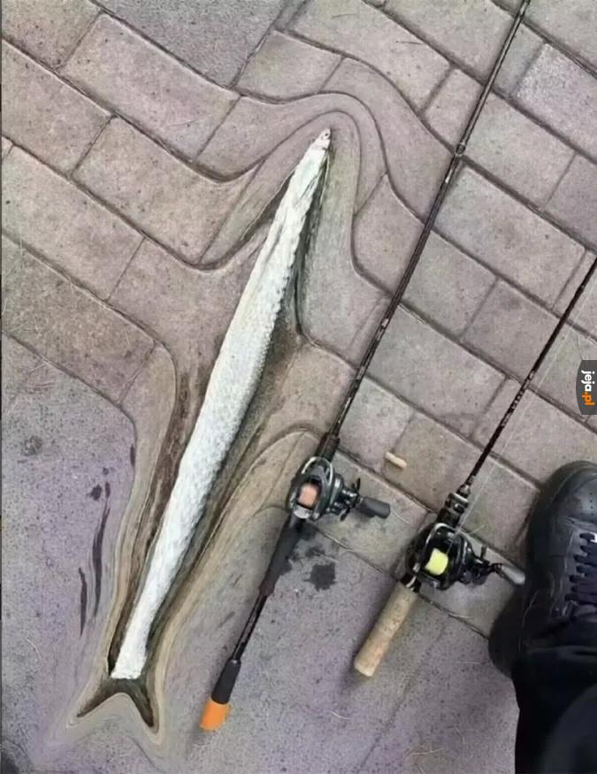 Taką dużą rybę złapałem