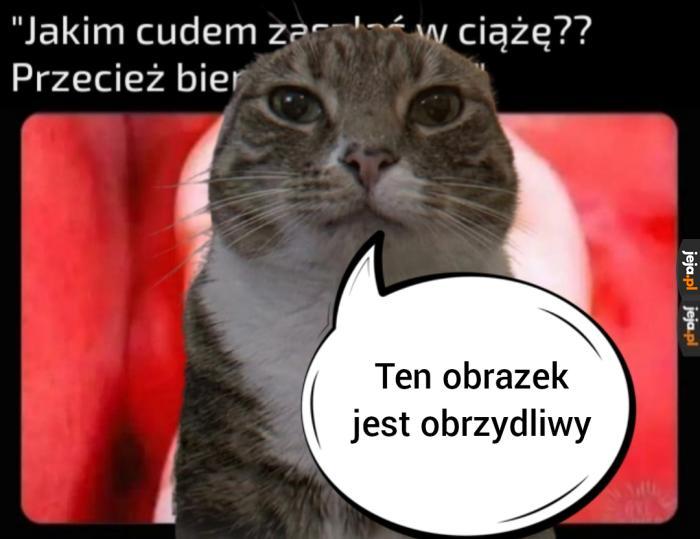 Zgadnij opa