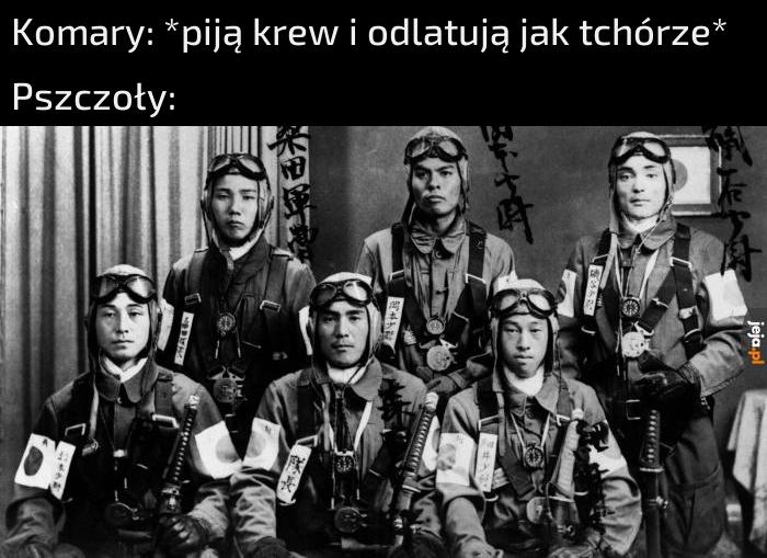 Dla tych co nie wiedzą, to piloci kamikadze