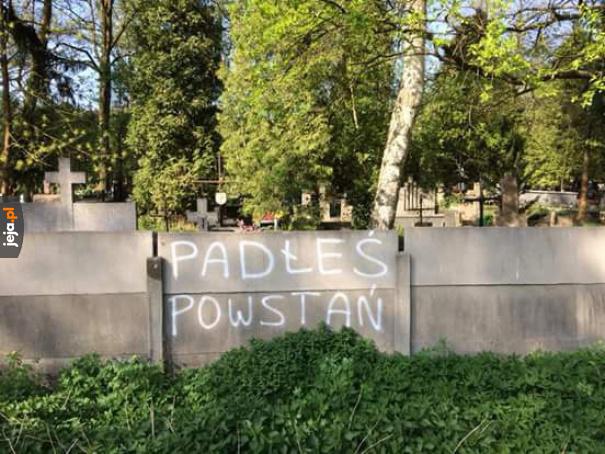 To byłaby dobra reklama
