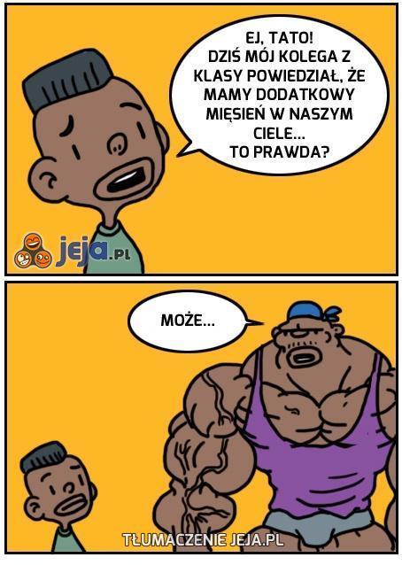 Dodatkowy mięsień