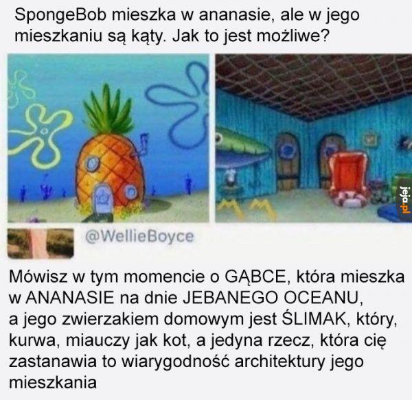 Kto normalny doszukuje się logiki w SpongBobie?