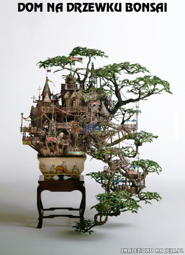 Dom na drzewku bonsai