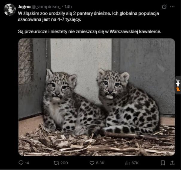 Dobre wieści