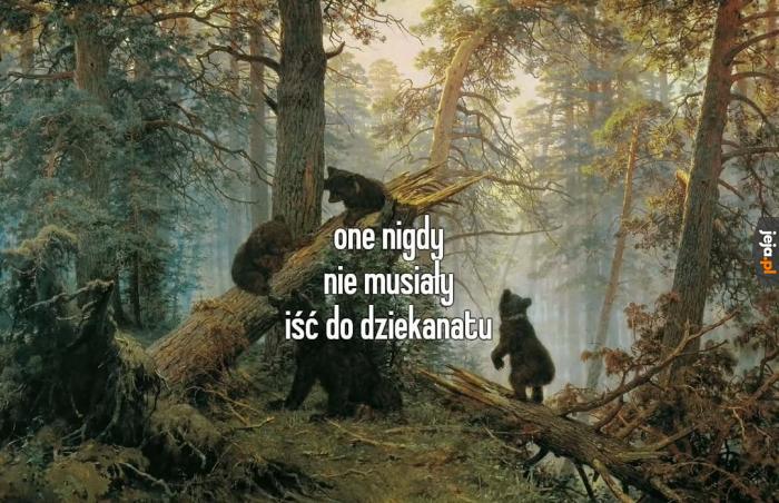Czapka z napisem student