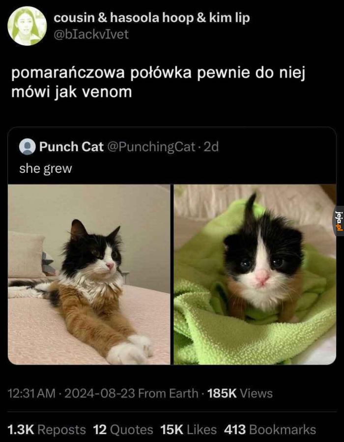 Podsuwa złe pomysły