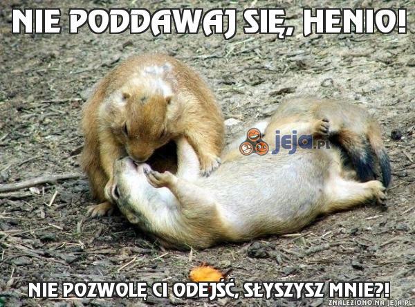 Nie poddawaj się, Henio!