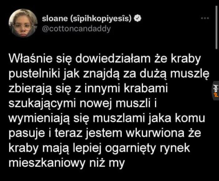 Polacy 100 lat za krabami