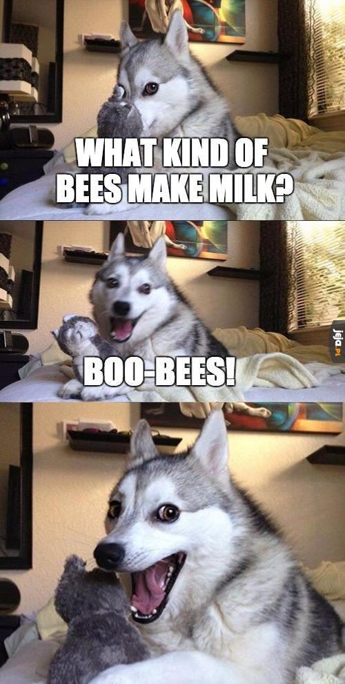 Jakiego rodzaju mleko robią pszczoły?
