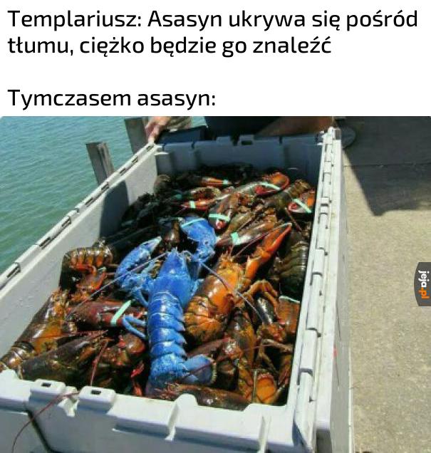 Wyróżnia się