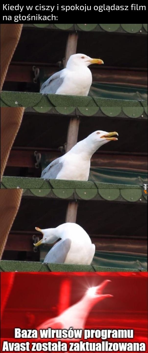 Głośniej chyba nie da rady
