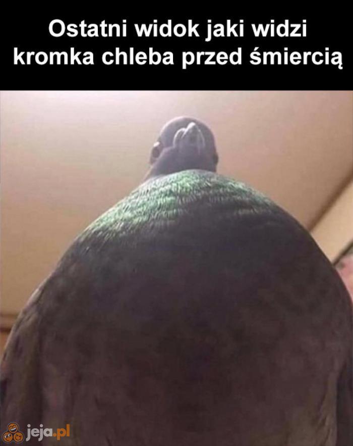 Kromki kres