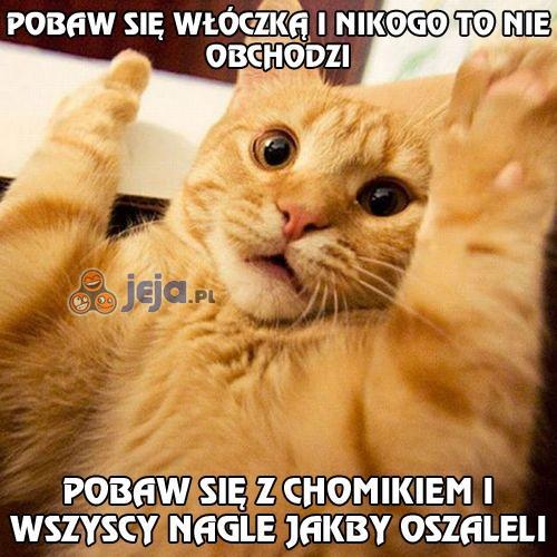 Nigdy nie zrozumiem człowieków