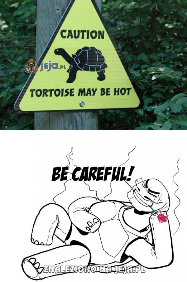 Uwaga, gorrące żółwie