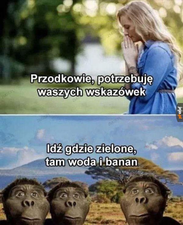 Nie ma za co