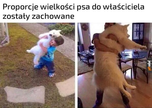 Proporcje