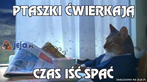 Ptaszki ćwierkają